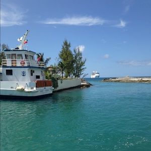 Meet your Posher, Tammy