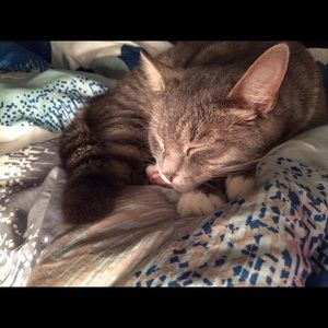 Meet your Posher, Lea