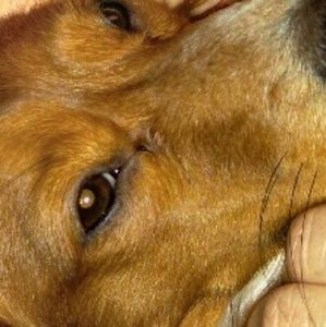 Meet your Posher, Sergio