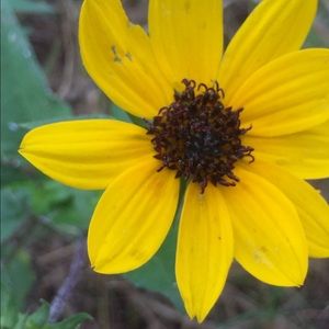 Meet your Posher, Leta