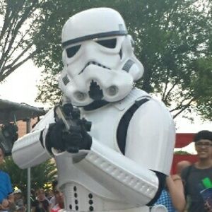 Meet your Posher, Kitty