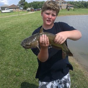 Meet your Posher, Dalton