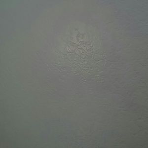 Meet your Posher, Tam