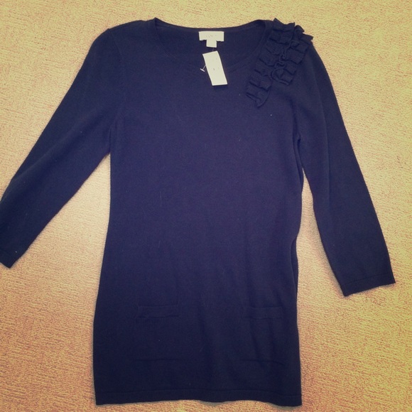 Ann TAylor Loft  sweater NWT