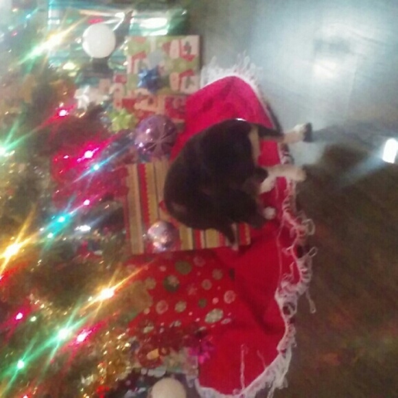 Meet your Posher, Samantha