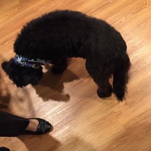 Meet your Posher, Maybette