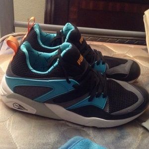 Pumas