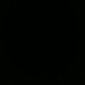 Meet your Posher, Natasha