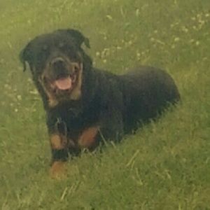 Meet your Posher, Mason