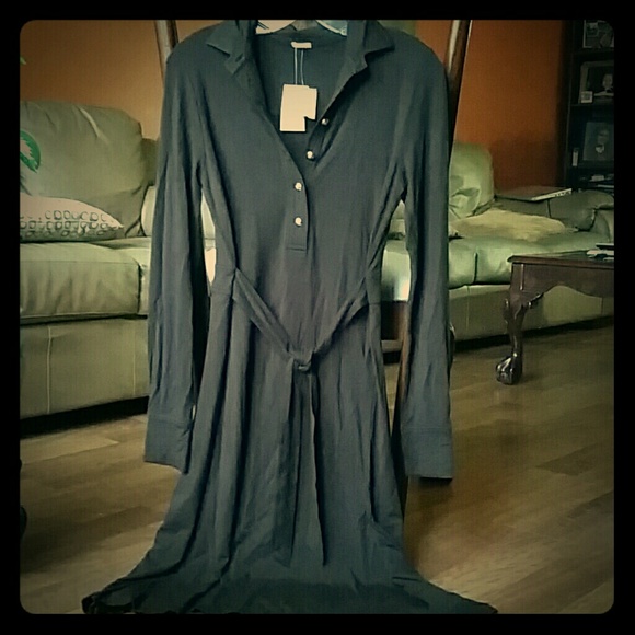 NWT Brown J. Crew Dress - Picture 1 of 4