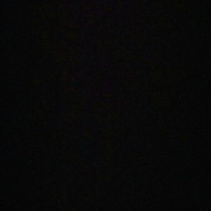 Meet your Posher, Mikayla