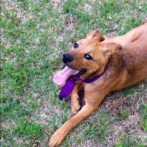 Meet your Posher, Delaney