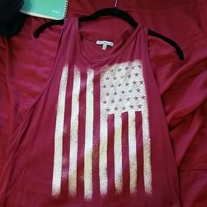 America Crop Top