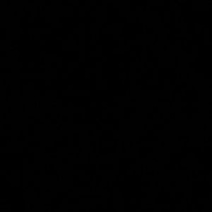 Meet your Posher, Shadaeja