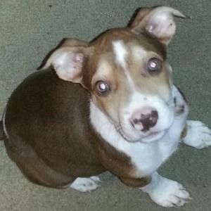 Meet your Posher, Cathy