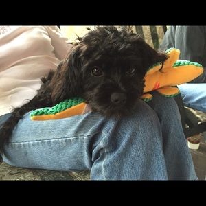 Meet your Posher, Anne