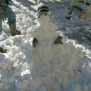 Meet your Posher, Ray