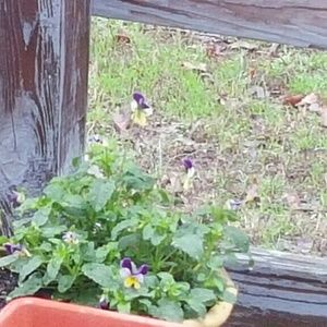 Meet your Posher, Andrea