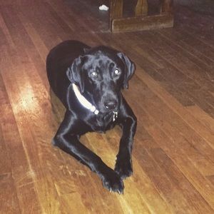 Meet your Posher, Kelsey