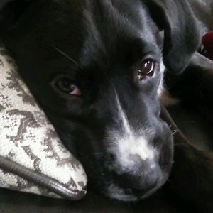 Meet your Posher, Laura