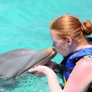 Meet your Posher, Misty