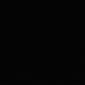 Meet your Posher, Daisy