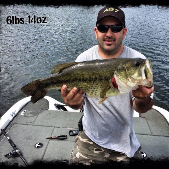 Meet your Posher, Sonny - Picture 1 of 1