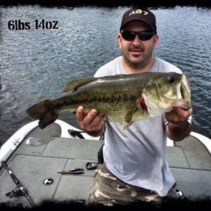 Meet your Posher, Sonny