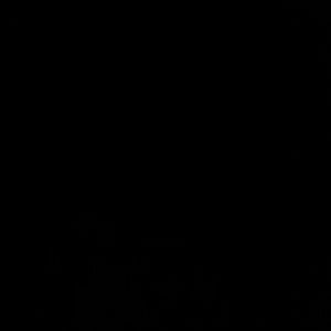 Meet your Posher, Charlotte