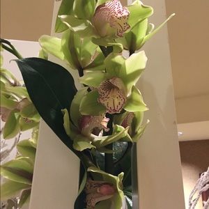 Meet your Posher, Claudia