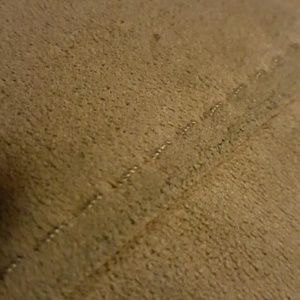 Meet your Posher, Bruce