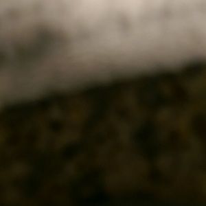 Meet your Posher, Annabel