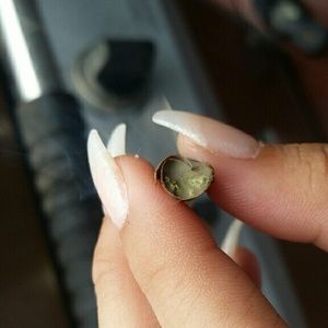 Meet your Posher, Riane