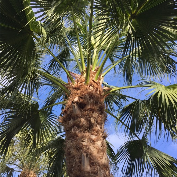 Meet your Posher, Rachel - Picture 1 of 1