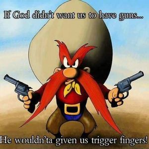 Meet your Posher, Joe molly