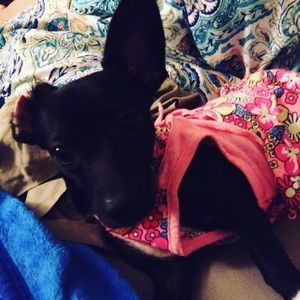 Meet your Posher, Kylie