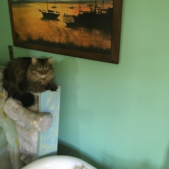 Meet your Posher, Simone - Picture 3 of 4