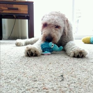 Meet your Posher, April