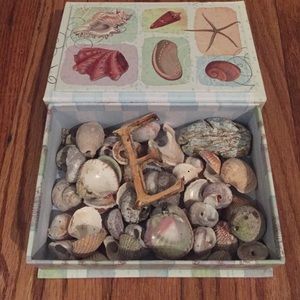 Assorted Mermaid Treasures