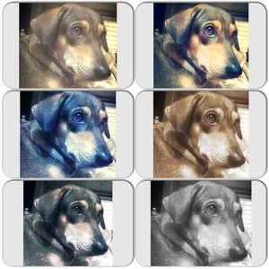 Meet your Posher, Aui