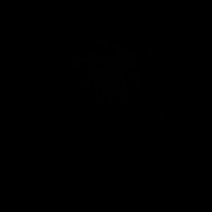 Meet your Posher, Tapasya