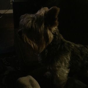 Meet your Posher, Araceli