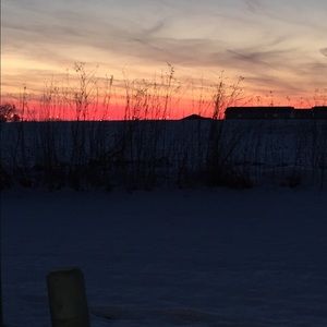 Meet your Posher, Alexandra