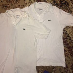 Lacoste men's polo's