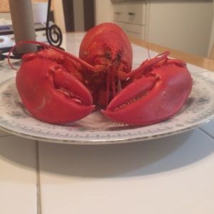 Meet your Posher, Shikaira