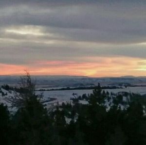 Meet your Posher, Carolee