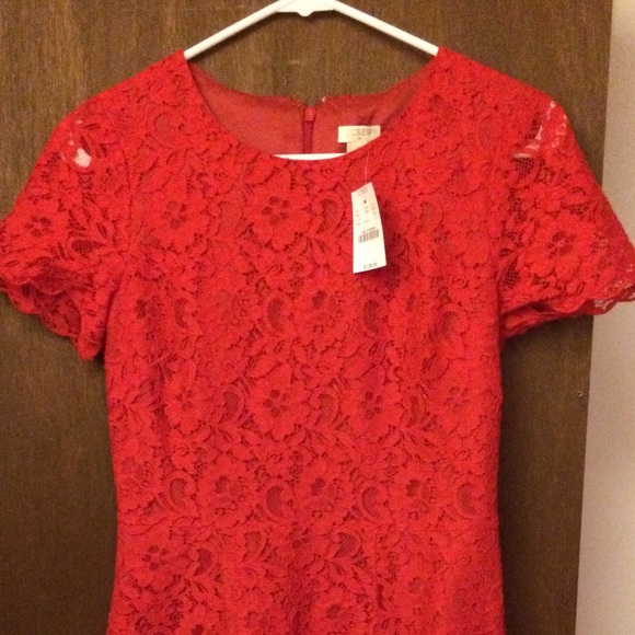 J Crew Factory Lace Dress - Picture 4 of 4
