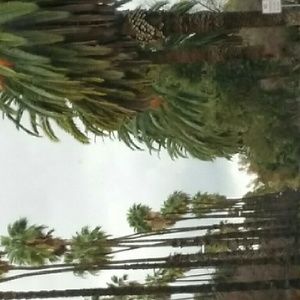 Meet your Posher, Riley