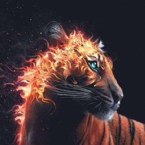 Meet your Posher, Zach