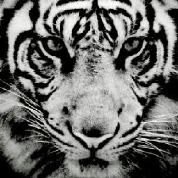 Meet your Posher, Laurie